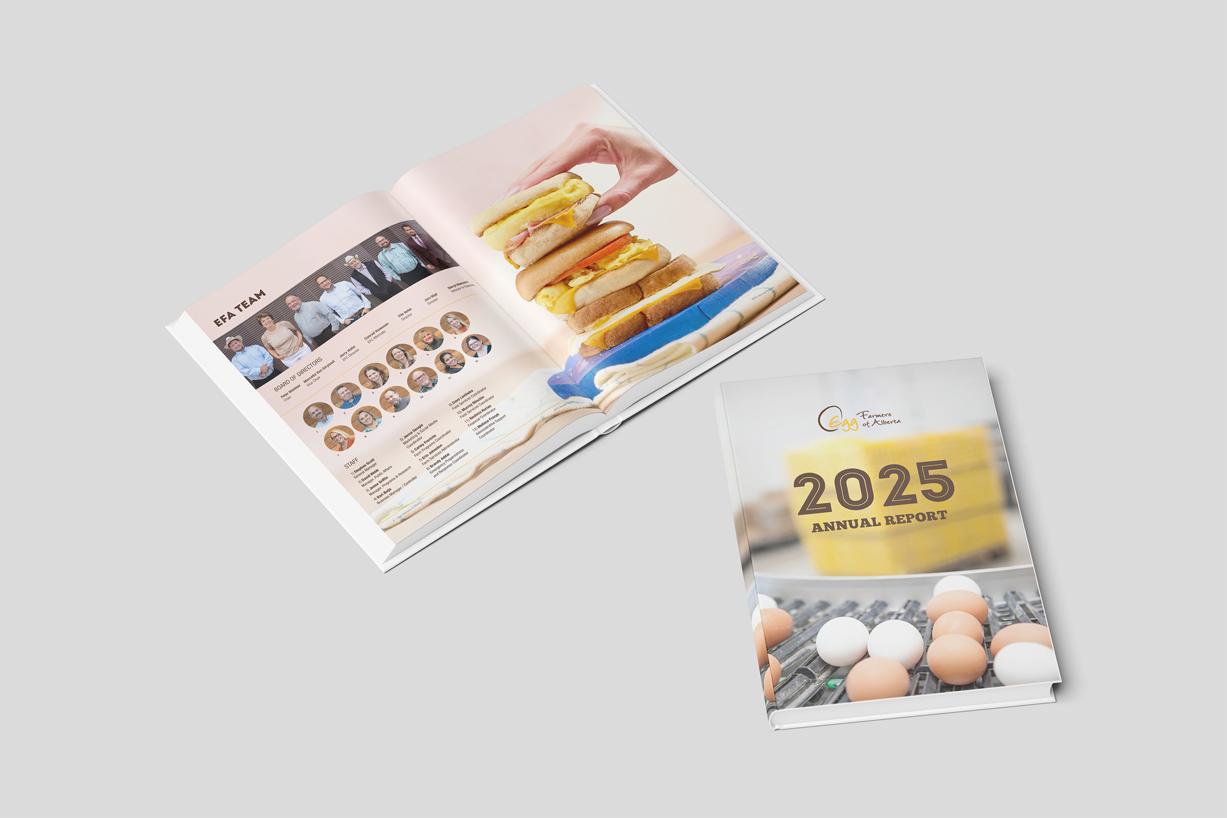 Annual report interior spread