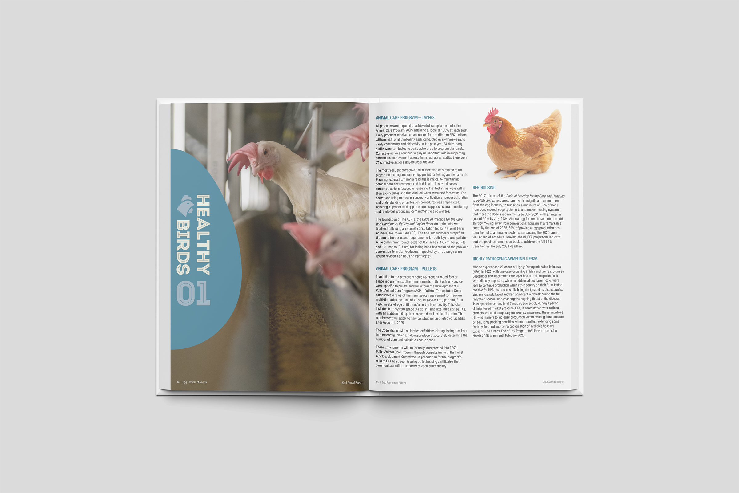Annual report interior spread