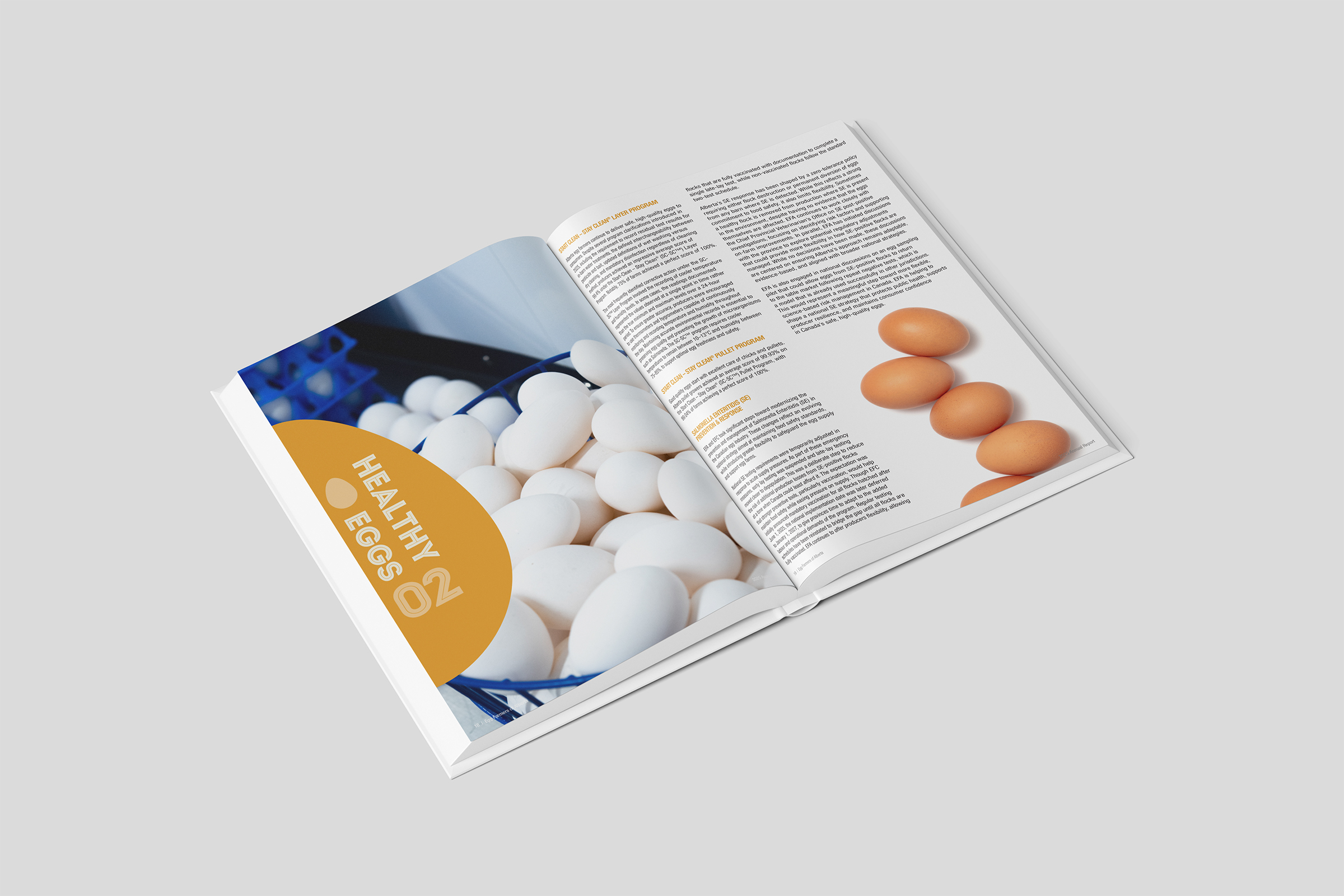 Annual report interior spread